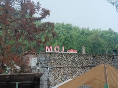 -MOJ coffee(瓯海泽雅水碓坑店)