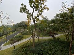 -成都安仁福朋喜来登酒店