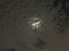 -嘉悦汗蒸时代(曙光路店)