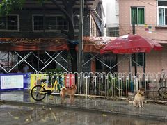 -黄埔古港