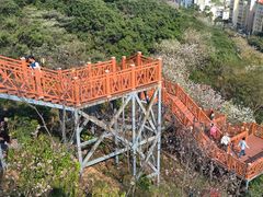 -小南山公园
