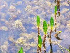 -花湖生态旅游区