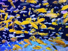 -成都浩海立方海洋公园