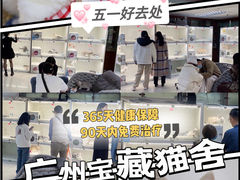 -lincat·猫舍(广州店)
