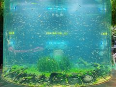 -海合安成都极地海洋公园