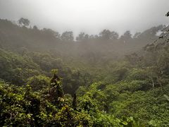 -海口火山口国家地质公园
