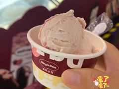 雪绒球外带冰淇淋菜式-哈根达斯(万象城店)