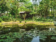 -深圳国际园林花卉博览园