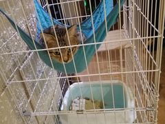 -逃脱反斗城沉浸剧情密室(北京路店)