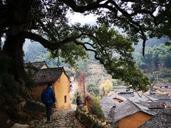 -杨家堂村