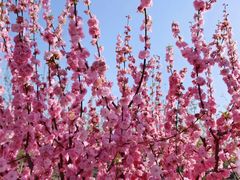 -兴芮温泉度假区