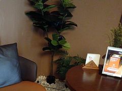 -端艾堂·SPA·艾灸(棕榈泉013店)