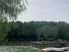 -上海鲜花港