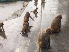 -碧水湾温泉