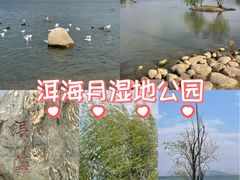 -洱海月湿地公园