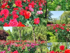 -郑州中国绿化博览园