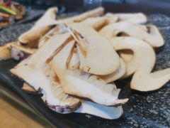 -蘑统田下·野生菌火锅