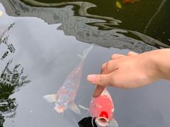 -黄龙溪古镇