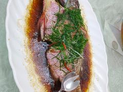 -百福大酒家