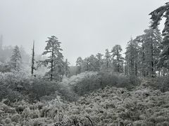 -瓦屋山景区