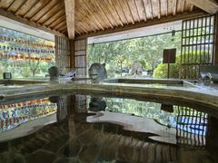 -中家鑫园温泉酒店鑫悦汤泉