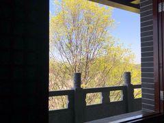 -少华山国家森林公园