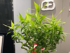 -田凤波推拿.按摩养生(幸福店)