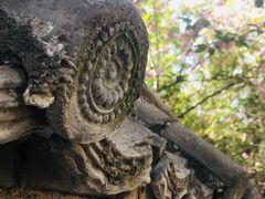 -西安青龙寺遗址景区