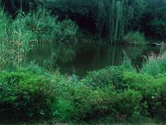 -天目湖涵田半山温泉