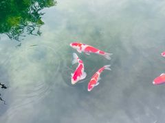 -西江印象酒楼