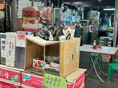 -油麻地果栏