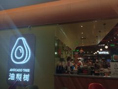 -油梨树AVOCADO TREE(嘉里中心店)