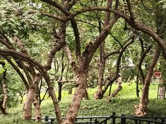 -皇家御河游(紫御湾码头)