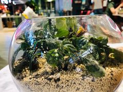 -宝珠奶酪(浦东金桥店)