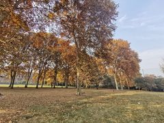 -河南省黄河迎宾馆