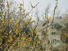 -千佛山风景名胜区