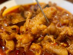-红辣椒八爪鱼特色韩国料理