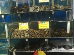 水产区-蚝专家(北滘店)