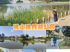 -映月湖公园
