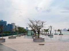-城市阳台