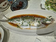 -金美华轩(东方路齐鲁店)