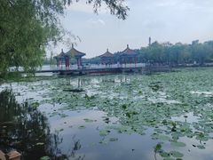 -长春市南湖公园