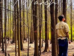 -桤木河湿地公园