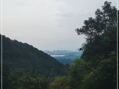 -韬光茶庵