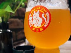 -Boxing Cat Brewery拳击猫精酿啤酒馆(永福店)