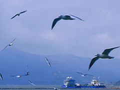 -滇池海埂公园