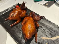 -侨美食家·40年地道粤菜(珠江新城店)