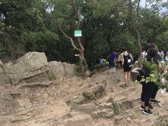 -紫金山山顶公园