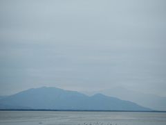 -深圳湾公园(南山区)