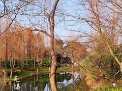 -尚贤河湿地